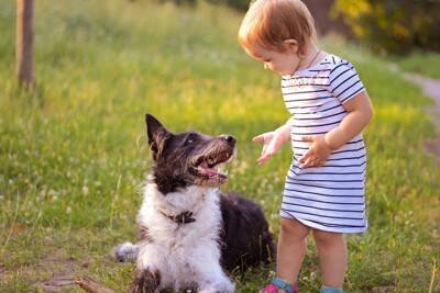 犬に『話しかけた方がいい』といわれる理由3つ　飼い主との会話を理解しているの？