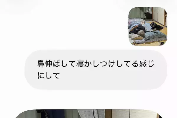 AIで『犬の鼻を伸ばすこと』にハマった結果→おじいちゃんと犬の写真で『鼻伸ばして寝かしつけさせて』とお願いしたら…衝撃の光景に5万いいね
