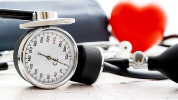 見逃されがちだけど怖い…「犬の高血圧」とは？日常の行動に潜むヒントをチェック【獣医師が解説】