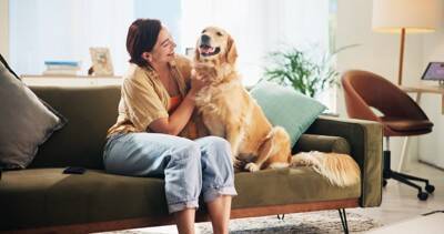 犬が『精神疾患』を抱えているときの症状5選　主な治療法や飼い主にできることまで