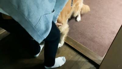 大型犬に『留守番』お願いした結果…まるでこの世の終わりかのような姿が可愛すぎると316万再生「なんて愛おしい」「表情おもしろ笑」