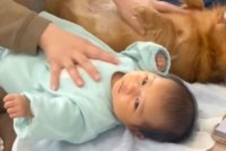 赤ちゃんと『ふれあい遊び』をする母親→なぜか横で『犬も参加』して…どっちが赤ちゃんかわからない光景が114万再生「ほっこり」「表情がｗ」