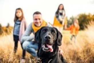 犬を飼い始めたばかりの人がやりがちな『タブー行為』4つ　初日に必ずやるべき準備とは？