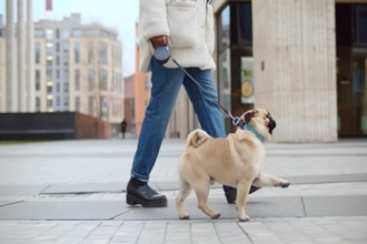 犬の散歩の『適切な時間』とは？どれくらいの距離を歩かせたらいいの？