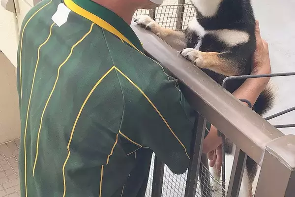 『クロネコヤマトのお兄さん』が配達に来た結果→犬が『大喜び』して…相思相愛な『尊すぎる光景』に3万いいね「耳が可愛い」「配達楽しみだね」