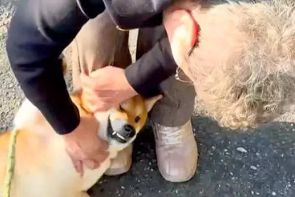 隣に住むおばあちゃんのことが大好きな犬→散歩中に出会った結果…大好きが溢れた『尊すぎる光景』に反響「いいなあ」「声が落ち着くのかな？」