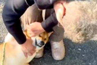 隣に住むおばあちゃんのことが大好きな犬→散歩中に出会った結果…大好きが溢れた『尊すぎる光景』に反響「いいなあ」「声が落ち着くのかな？」