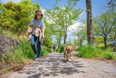犬を散歩へ連れて行くときに『絶対NGな服』4選　避けるべき服装の特徴や選ぶ際のポイントまで