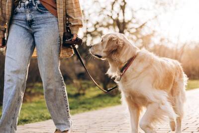 犬の飼い主による『マナー違反』7選　他人に迷惑をかける危険行為や必ず守るべきルールまで