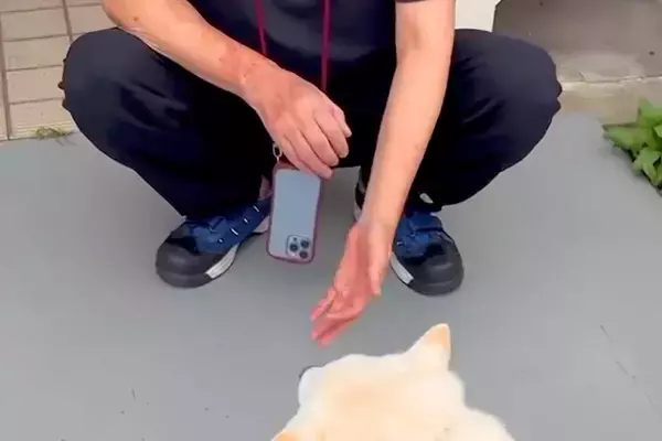 『かかりつけの獣医さん』に恋をしている犬→散歩中、遭遇出会った結果…尊すぎる『乙女な光景』が73万再生「恋心が溢れてる」「ルンルンｗ」