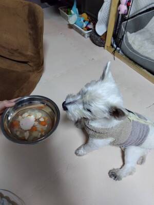 ちーちゃんですけどもっ【第343話】「一生やってる」