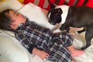 『一緒に寝たくて…でも起こしたくもなくて…』赤ちゃんと寝たい犬→ベッドで見せた『優しすぎる行動』が話題「なんて愛おしい」「思いやり」