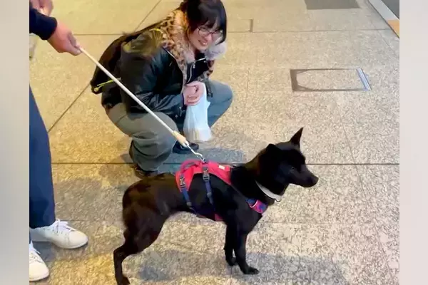 犬と一緒に『娘を空港までお迎えに行った』結果→なぜか無視されて…気付いた瞬間の『大歓迎』に反響　全力の"おかえりなさい"に思わずほっこり