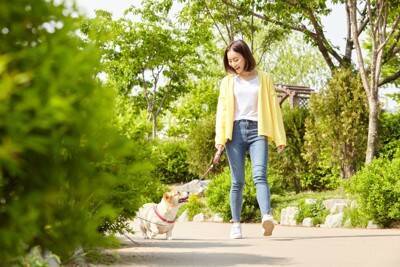 犬が『信用していない』時にするサイン4選　不信感を抱かれてしまう飼い主の共通点とは？