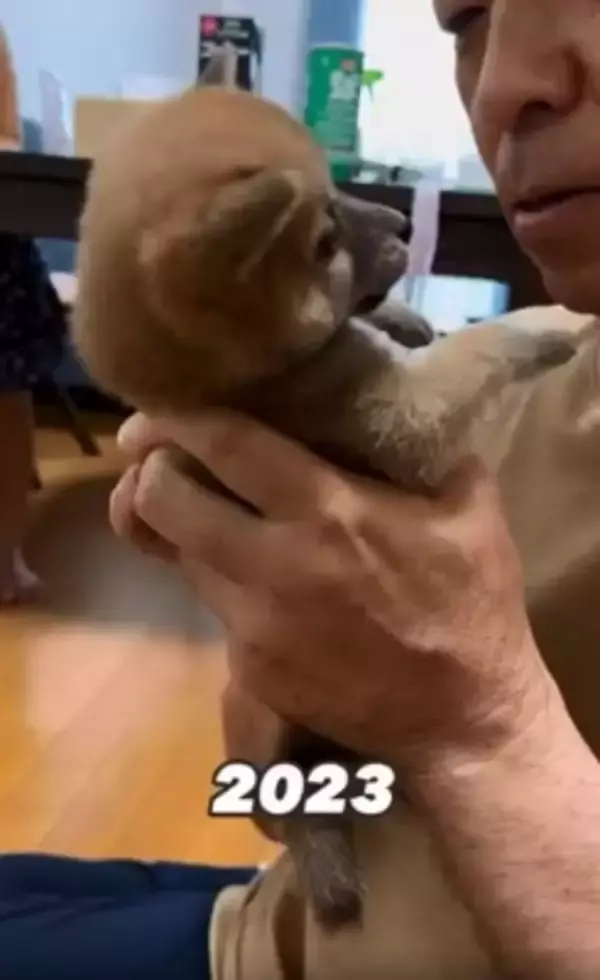 『３番目の孫』として子犬をお迎えしたおじいちゃん→１年後…愛情たっぷりな『心温まる光景』が76万再生「どちらもデレデレｗ」と絶賛の声