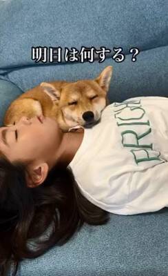 『３番目の孫』として子犬をお迎えしたおじいちゃん→１年後…愛情たっぷりな『心温まる光景』が76万再生「どちらもデレデレｗ」と絶賛の声