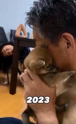 『３番目の孫』として子犬をお迎えしたおじいちゃん→１年後…愛情たっぷりな『心温まる光景』が76万再生「どちらもデレデレｗ」と絶賛の声