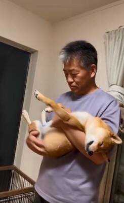 『３番目の孫』として子犬をお迎えしたおじいちゃん→１年後…愛情たっぷりな『心温まる光景』が76万再生「どちらもデレデレｗ」と絶賛の声