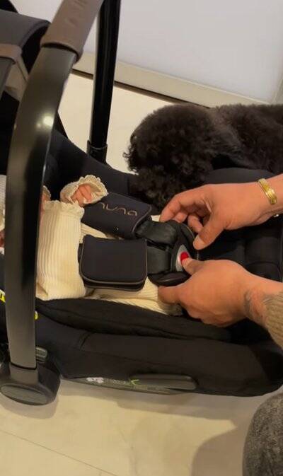 生まれたばかりの赤ちゃんと犬の初対面→思った以上に『大興奮しているご挨拶』に「興味津々で可愛い」「素敵な光景で感動」と絶賛の声