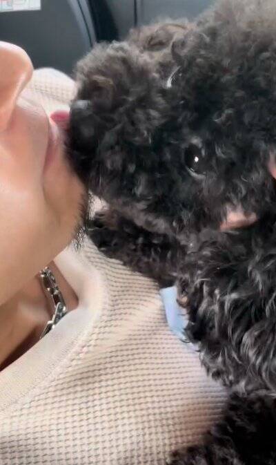 生まれたばかりの赤ちゃんと犬の初対面→思った以上に『大興奮しているご挨拶』に「興味津々で可愛い」「素敵な光景で感動」と絶賛の声