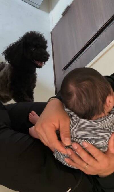 生まれたばかりの赤ちゃんと犬の初対面→思った以上に『大興奮しているご挨拶』に「興味津々で可愛い」「素敵な光景で感動」と絶賛の声