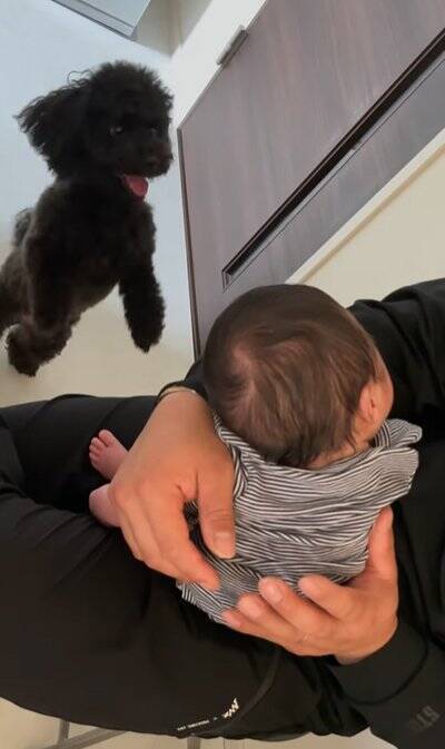 生まれたばかりの赤ちゃんと犬の初対面→思った以上に『大興奮しているご挨拶』に「興味津々で可愛い」「素敵な光景で感動」と絶賛の声