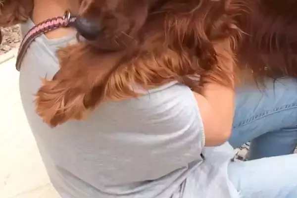 大好きなお姉さんに会った大型犬→立ち上がっただけで『帰っちゃうの？』と勘違いして…必死過ぎる『引き留め方』が39万再生「泣ける」「健気」