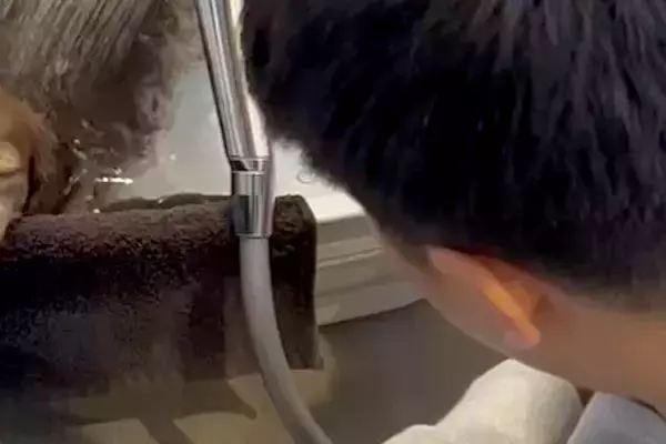 『旦那と犬が静かだな』と思って見に行くと、お風呂場にいて…家族愛を感じる『素敵な光景』が274万再生「可愛すぎてニヤニヤ」「顔が最高」