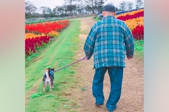 犬と仲良しだった『おじいちゃん』が突然の他界…孫のように暮らした『かけがえのない記録』に思わず涙「優しい笑顔…」「お空で見守ってるよ」