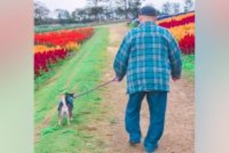 犬と仲良しだった『おじいちゃん』が突然の他界…孫のように暮らした『かけがえのない記録』に思わず涙「優しい笑顔…」「お空で見守ってるよ」