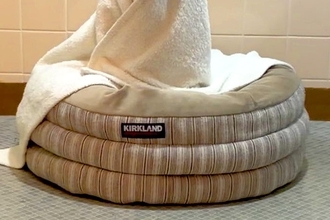 うっかり『怖い動画』を見てしまい、お風呂に入るのが怖くなったので…まさかの『犬に見守ってもらう光景』に3万いいね「心強い」「素晴らしい」