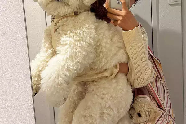 『小型犬を飼ったはずが…』思った以上に成長した結果→目を疑う『衝撃の光景』に6万いいね「でっかいぬいぐるみかとｗｗ」「もはや大型犬で草」