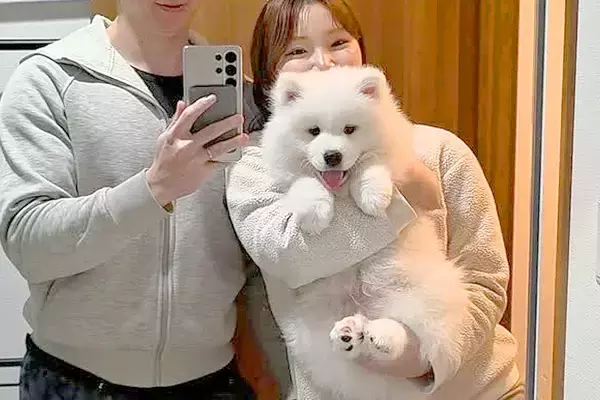 軽々と抱っこできていた赤ちゃん犬→10ヶ月後…1歳になった姿が『あまりにもデカすぎる』と80万再生「どんどんもふもふに」「成長速度やばい」
