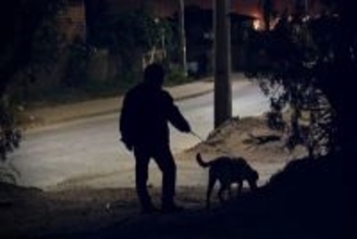 犬の『夜の散歩』絶対NG行為4つ　知らないと危険？夜散歩のリスクや安全対策