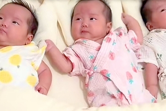 『ある日突然、三つ子が家にやってきた』赤ちゃんたちが家族になったら、犬が…愛おしい『現在の光景』が18万再生「幸せ4倍」「なんか涙でた」
