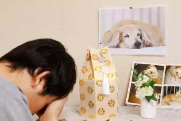 ペットロスの人に絶対言ってはいけない『NGワード』5選　愛犬を亡くした人にすべき配慮とは？
