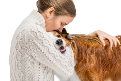 ペットロスの人に絶対言ってはいけない『NGワード』5選　愛犬を亡くした人にすべき配慮とは？
