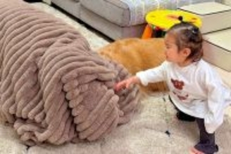 片付けをしない1歳の女の子→『片付けおばけ』が現れ、大型犬を吸い込んでしまい…愛おしい『反応』が14万再生「最高の家族」「影響すごいｗ」