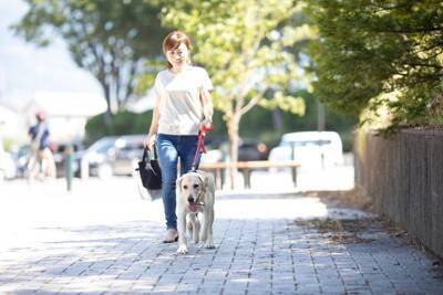 犬の『拾い食い』による死亡事故5つ　実際に報告されている事例や予防策まで