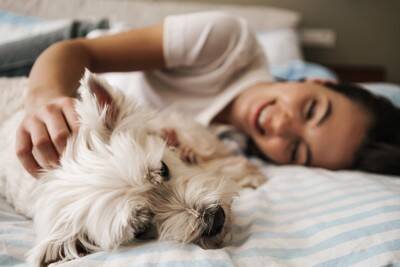 犬が『一緒に寝てくれない』心理3つ　飼い主から距離を置く理由や添い寝してもらうための秘訣まで