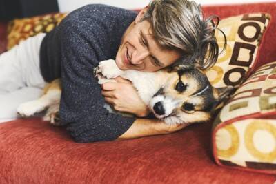 犬が不信感を抱く『絶対NG行為』５選　信頼を失ってしまう飼い主のタブー行動とは？