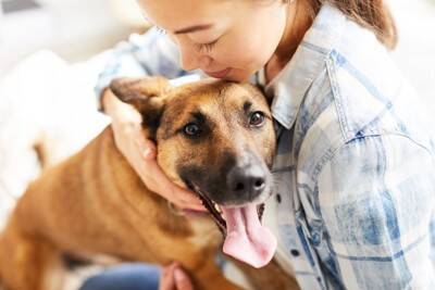 犬が『抱っこ』をおねだりしているサイン5選　執拗にアピールしてきたときの適切な接し方まで
