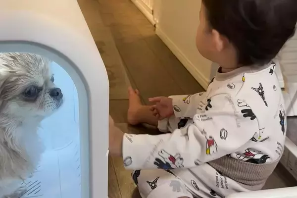 1歳の男の子が『ドライヤーハウスで体を乾かす犬』を発見→『助けなきゃ』と心配して…尊い行動と『成長した光景』に反響「兄弟愛が素敵すぎる」
