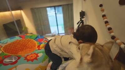 1歳の女の子が大型犬にお布団をかけ、トントンしたら…とんでもなく尊い『悶絶級の光景』が13万再生　幸せ過ぎる光景にほっこりが止まらない