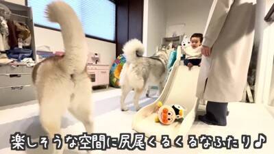 1歳の女の子が大型犬にお布団をかけ、トントンしたら…とんでもなく尊い『悶絶級の光景』が13万再生　幸せ過ぎる光景にほっこりが止まらない