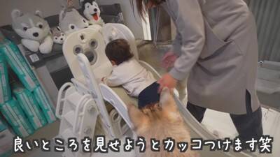 1歳の女の子が大型犬にお布団をかけ、トントンしたら…とんでもなく尊い『悶絶級の光景』が13万再生　幸せ過ぎる光景にほっこりが止まらない