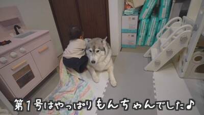 1歳の女の子が大型犬にお布団をかけ、トントンしたら…とんでもなく尊い『悶絶級の光景』が13万再生　幸せ過ぎる光景にほっこりが止まらない
