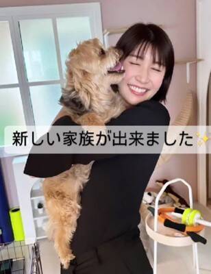 飼い主に裏切られ『殺してくれ』と持ち込まれた12歳の老犬…涙腺崩壊する『嘘のような現在の光景』が48万再生「辛かったね」「ありがとう」