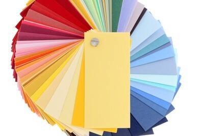 犬が『大好きな色』3選　どのように見えているの？見えづらい色までご紹介