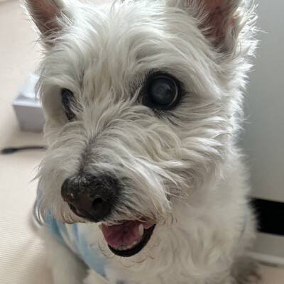 ちーちゃんですけどもっ【第346話】「たくさんありがとうございます」